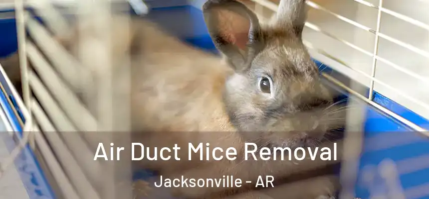  Air Duct Mice Removal Jacksonville - AR