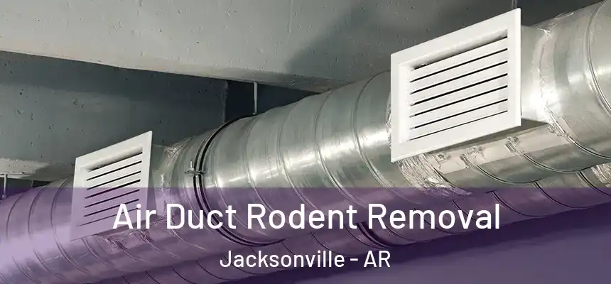  Air Duct Rodent Removal Jacksonville - AR