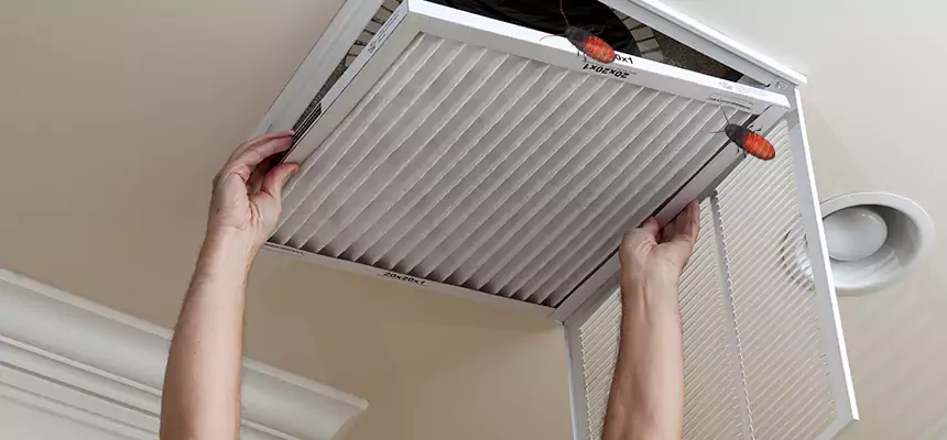 Our Insect Removal from Air Ducts Services in Jacksonville, AR