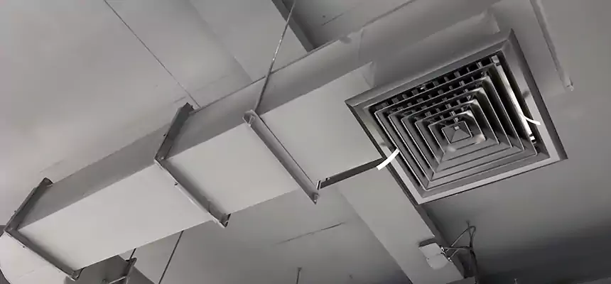 Our Pest Removal From Ducts Services in Jacksonville, AR