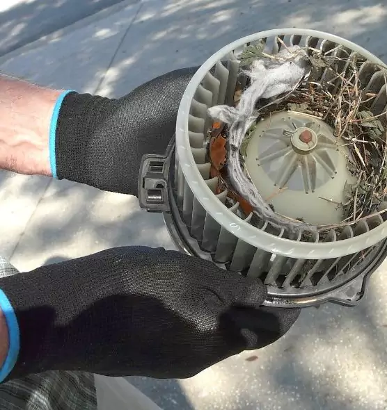 About Air Duct Mice Removal in Jacksonville, AR