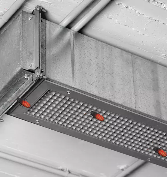 Affordable Insect Removal from Air Ducts in Jacksonville, AR