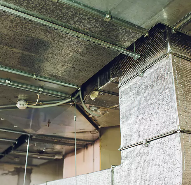 Why Homeowners & Businesses Trust Us in Jacksonville, AR?